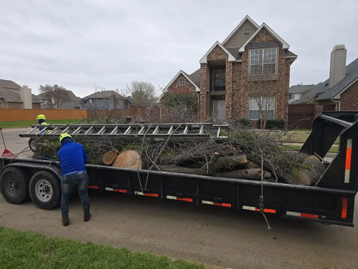 Expert Tree Fertilization with proper safety equipment in Beardsley